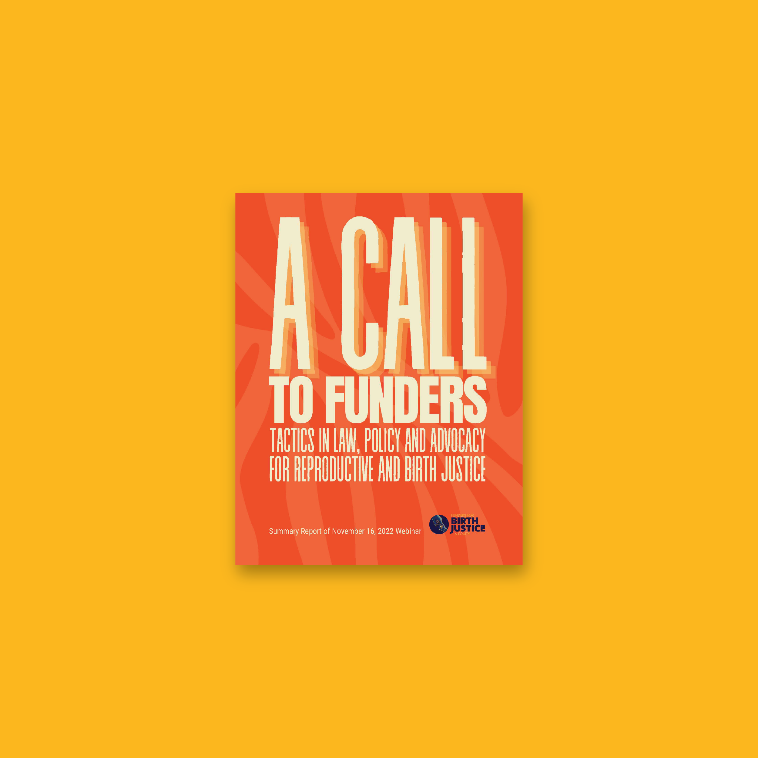 A Call to Funders Report Cover