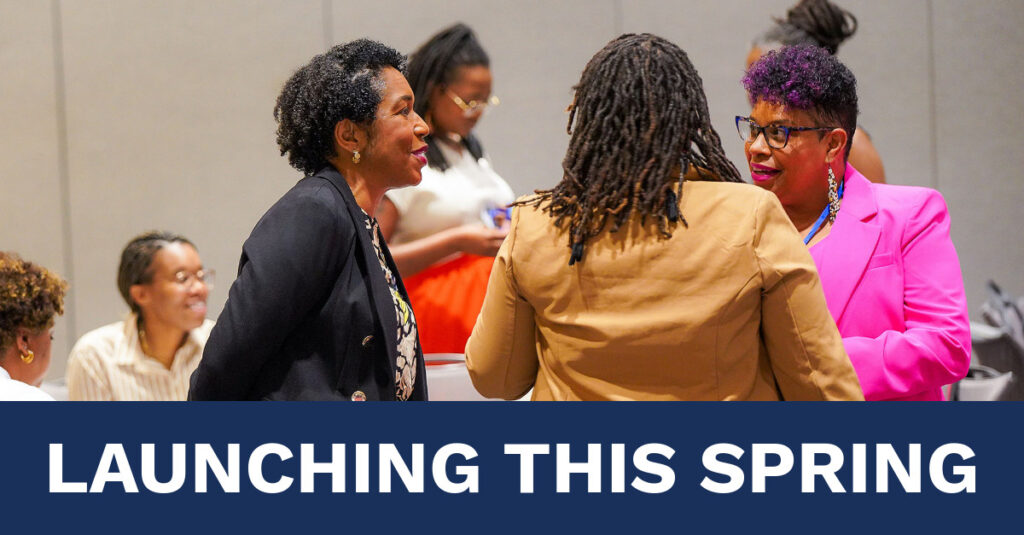 Title "Launching This Spring" over a photo of people engaged in conversation at the 2024 Birth Equity Funders Summit 
