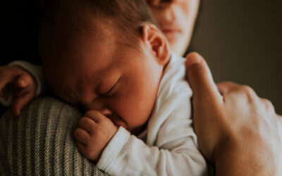 February 2026: Join the FBJE Summit Host Committee, Feb Monthly Learning Series, and More